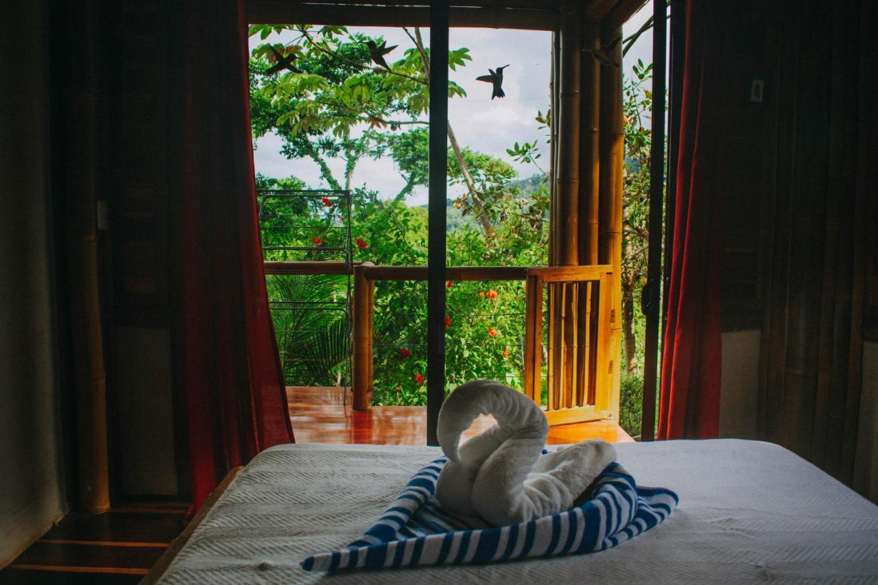 Bambura Hermosa Villas Uvita Zewnętrze zdjęcie