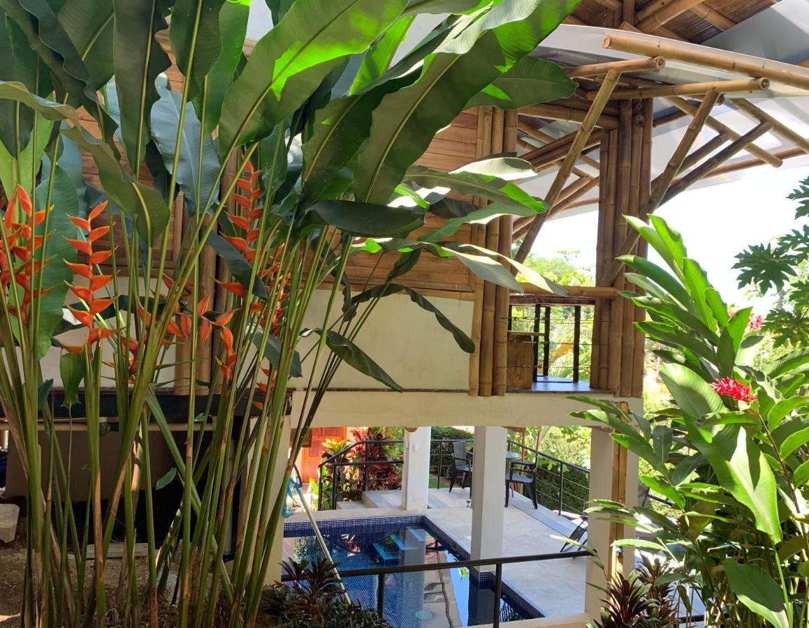 Bambura Hermosa Villas Uvita Zewnętrze zdjęcie