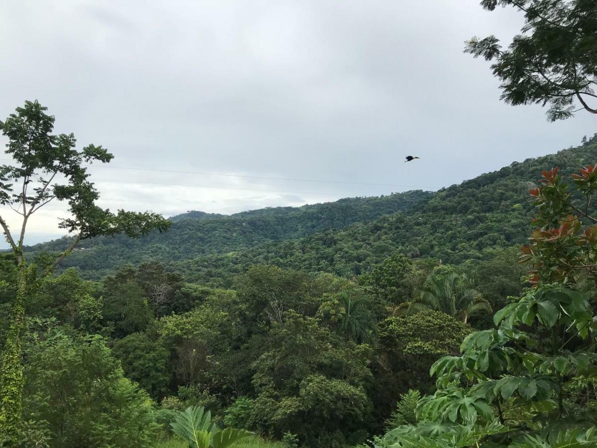 Bambura Hermosa Villas Uvita Zewnętrze zdjęcie
